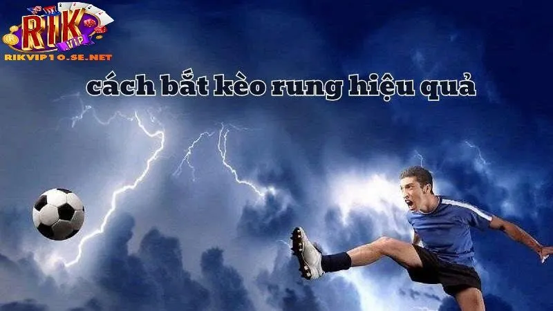 Quan Sát Thống Kê Để Tối Ưu Kèo Rung