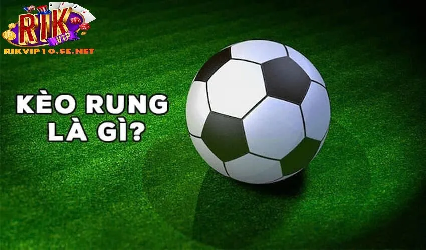 Những Lưu Ý Quan Trọng Khi Chơi Kèo Rung